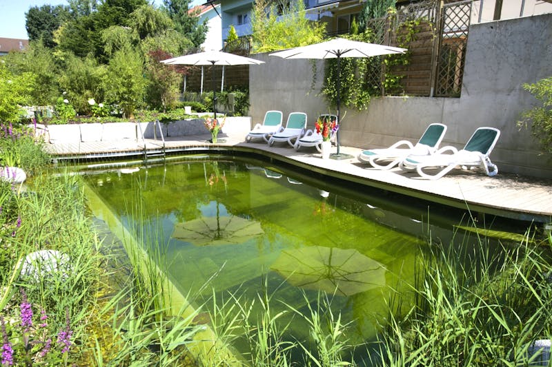 Naturschwimmpool – ©Boutique & Feelness Hotel Mürz