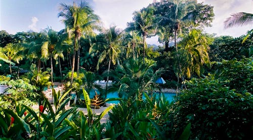 Chan Kah Resort – © www.chan-kah.com.mx/