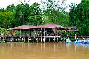 Abai Jungle Lodge&nbsp;&ndash;&nbsp;&copy;&nbsp;http://sitoursborneo.com/borneo/abai-jungle-lodges/