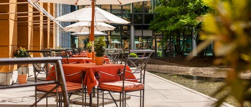 Gartenterrasse &ndash; &copy; Hotel Elbflorenz