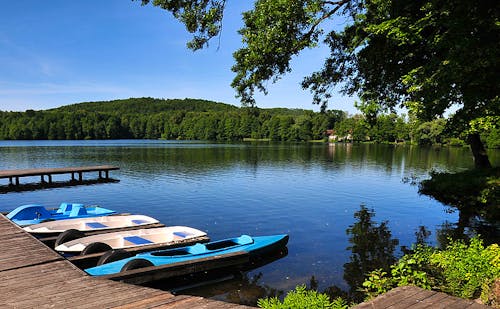 Waldsee am Schlosshotel Podewils &ndash; &copy; Schlosshotel Podewils