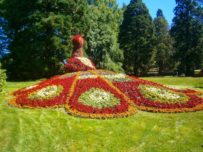 Insel Mainau, der Pfau aus Blumen - ©Eberhardt TRAVEL