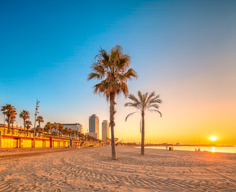 Der Barceloneta Sandstrand in Barcelona - ©boule1301 - Adobe Stock