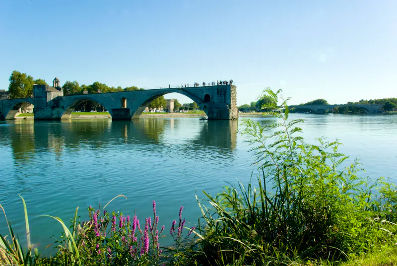 Place Corps Saints - &copy;Clémence Rodde – Coll. AVIGNON TOURISME
