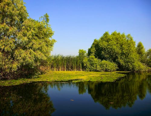 Die einmalige Landschaft des Donaudeltas – © KarpatenTourism