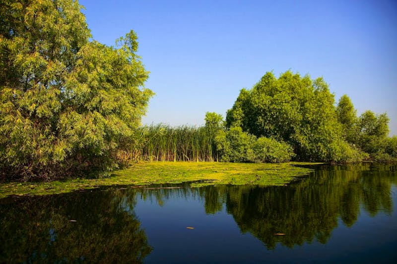 Die einmalige Landschaft des Donaudeltas - ©KarpatenTourism