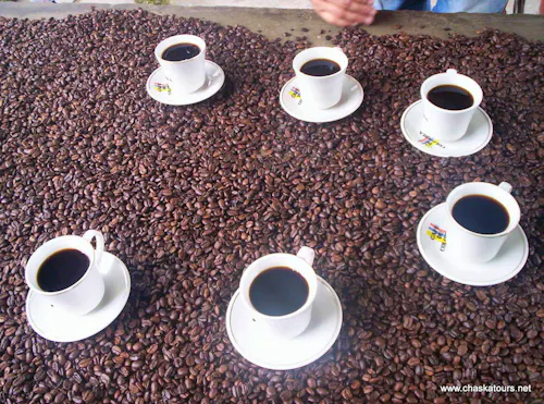 Kolumbianischer Kaffee &ndash; &copy; Chaska Tours