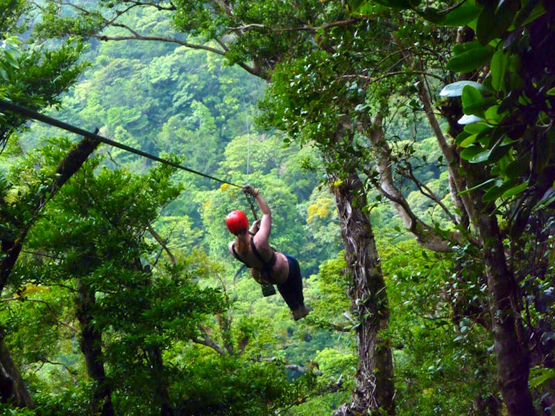 Nebelwald Monteverde - ©Monika- Sprachcaffe