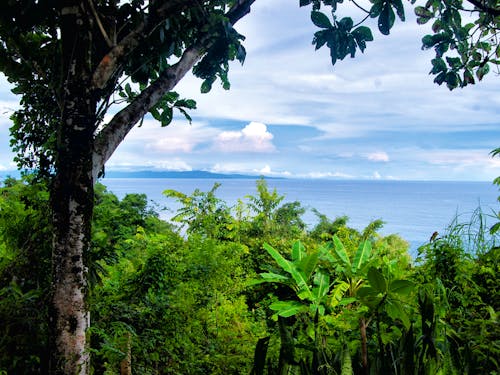 Ausblick aufs Meer &ndash; &copy; Elena - Sprachcaffe