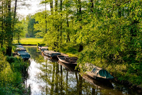Spreewald &ndash; &copy; cameris - Fotolia