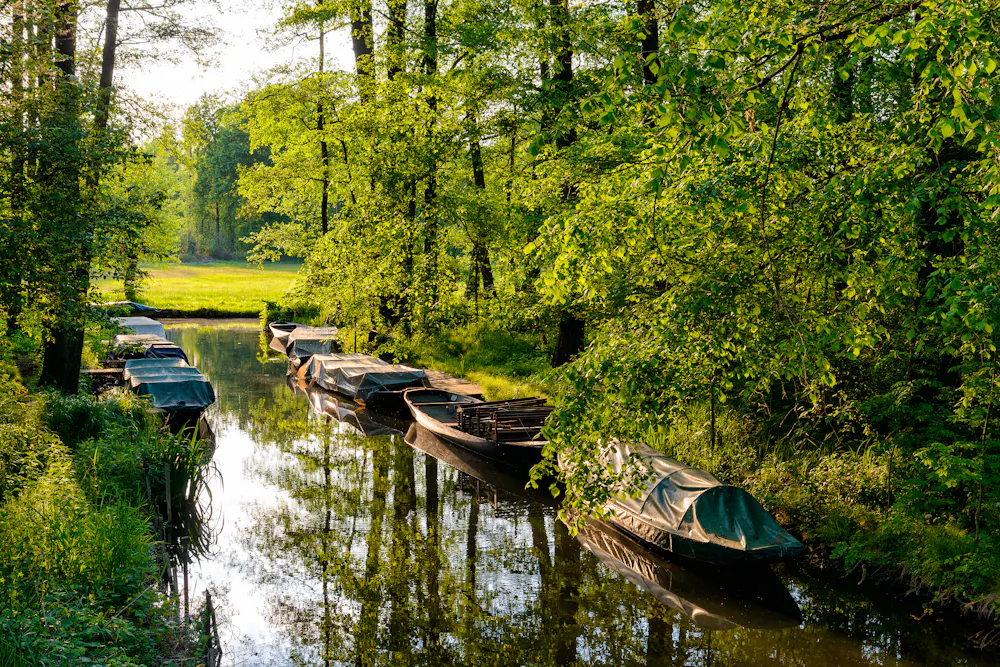 Spreewald &ndash; &copy; cameris - Fotolia