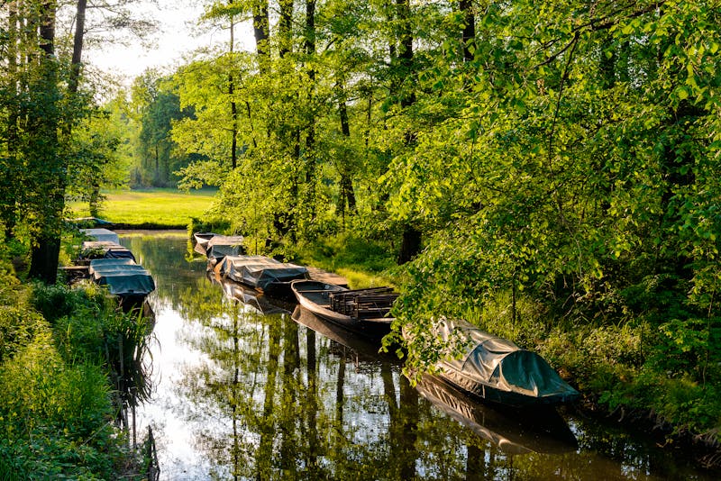 Spreewald - ©cameris - Fotolia