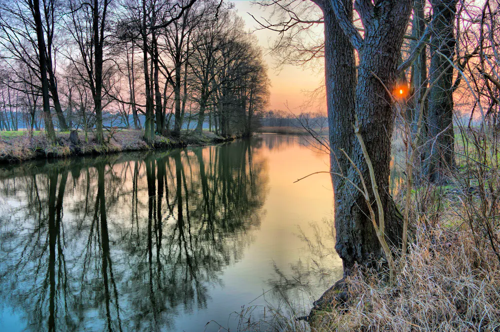 Spreewald im Winter &ndash; &copy; LianeM - Adobe Stock