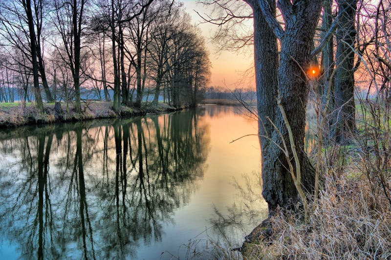 Spreewald im Winter - ©LianeM - Adobe Stock