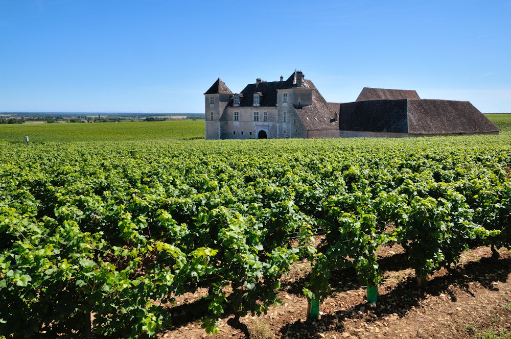 Burgund - Chteau du Clos de Vougeot &ndash; &copy; Gilles Oster - Fotolia