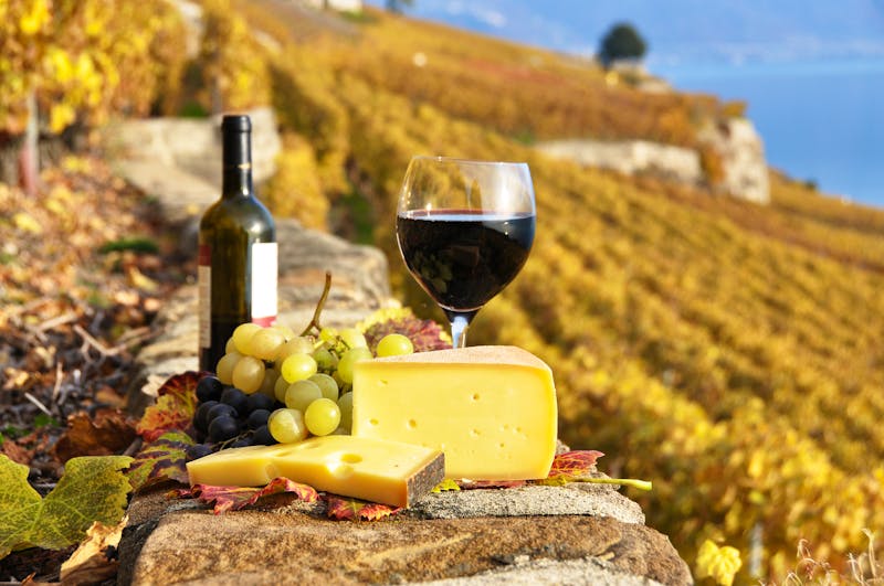 Wein und Käse - ©HappyAlex - Fotolia