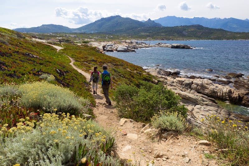 Calvi - Korsika - ©lettas - Fotolia
