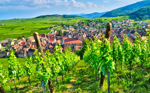 Elsass &ndash; &copy; PackShot - Fotolia