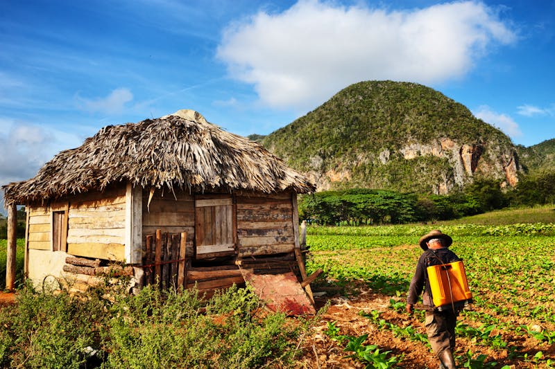 Im Vinales-Tal im Westen Kubas - ©Ingo Bartussek - Adobe Stock