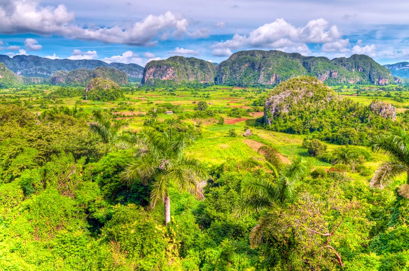 Vinales-Tal im Westen Kubas - ©Karel Miragaya - Adobe Stock