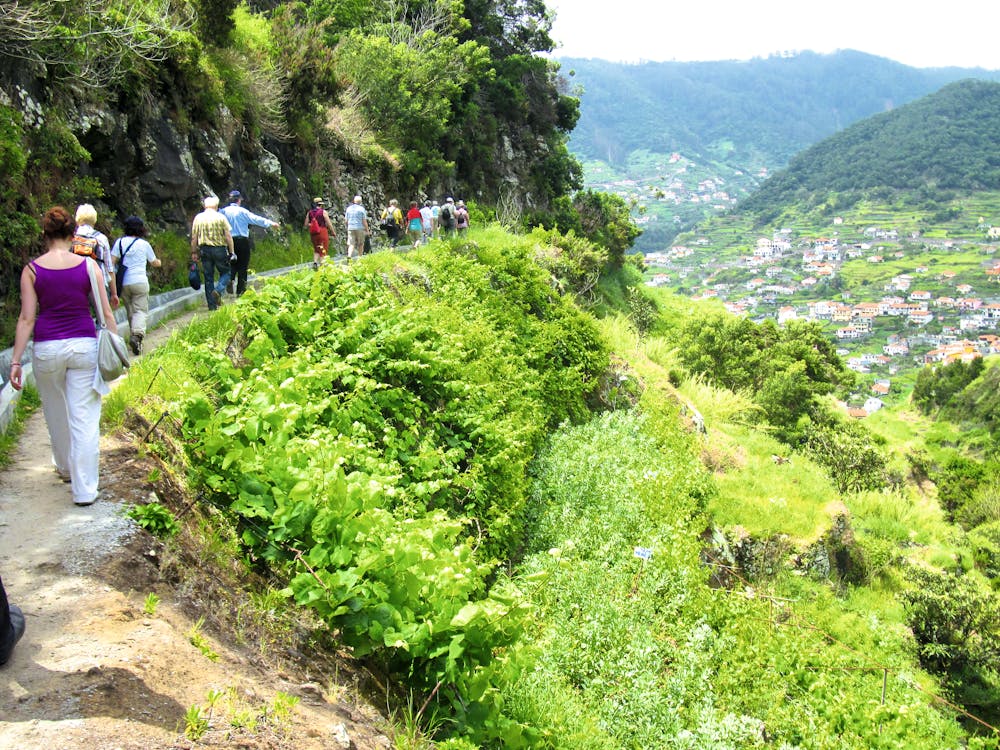 Levada-Wanderung auf Madeira &ndash; &copy; Eberhardt TRAVEL