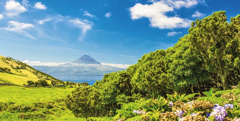 Azoren - Blick auf den Vulkan Pico - ©Lyd Photography - Adobe Stock