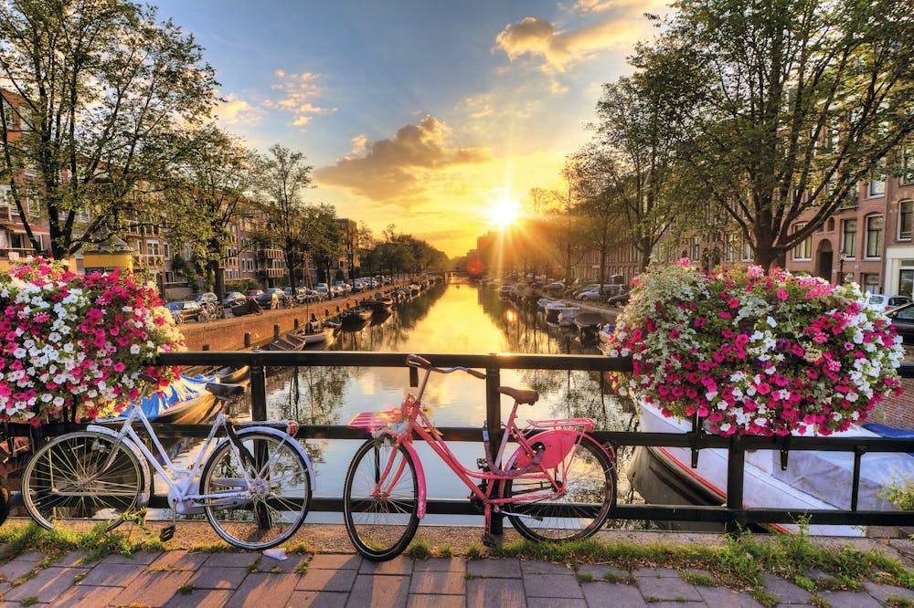 Grachten in Amsterdam &ndash; &copy; dennisvdwater - Adobe Stock