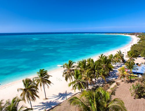 Strand in Kuba – © Aleksandar Todorovic - Adobe Stock