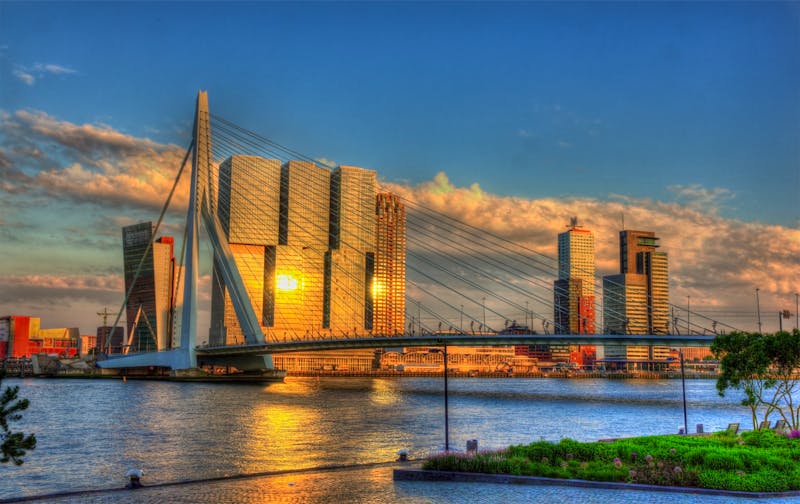 Blick auf Rotterdam und die Erasmusbruecke - ©Leonid Andronov - Fotolia