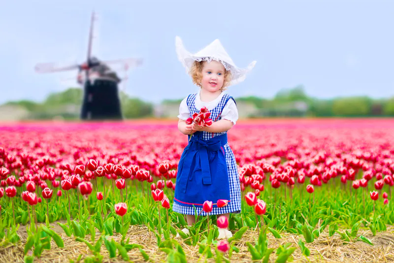 Tulpenfelder mit Windmuehle - &copy;famveldman - Fotolia
