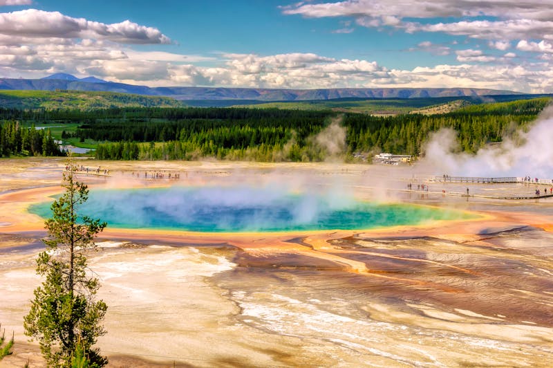 Yellowstone-Nationalpark - ©lucky_photo - Fotolia
