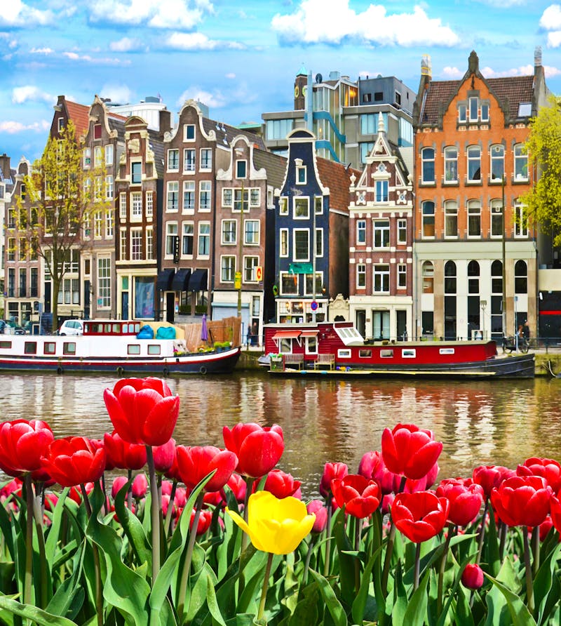 Tulpen und Haeuser in Amsterdam - ©anko_ter - Fotolia