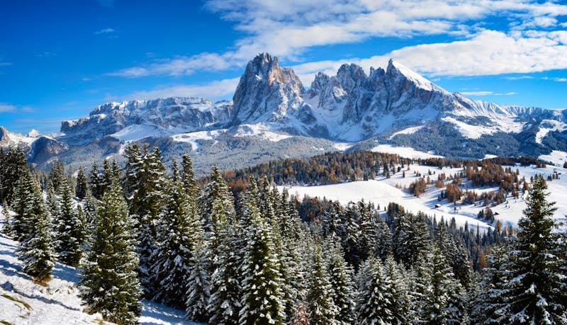 Seiser Alm in den Südtiroler Dolomiten - ©iPics - AdobeStock
