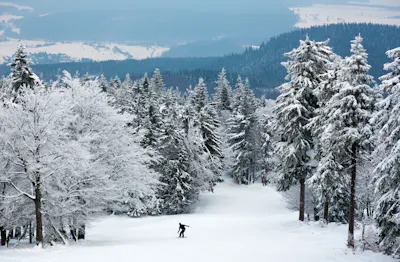 Silvester im Thüringer Wald &ndash; Hotel Goldener Hirsch in Suhl inkl. Silvesterfeier im Hotel