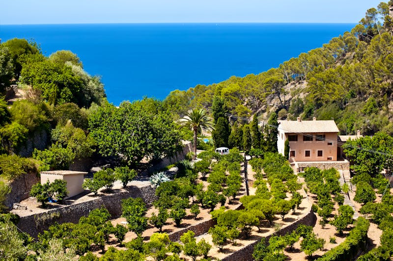 Banyalbufar - Mallorca - ©Veronika Galkina - Fotolia