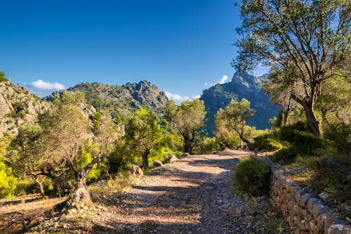 Im Tramuntana-Gebirge &ndash; &copy; Berlin85 - Fotolia