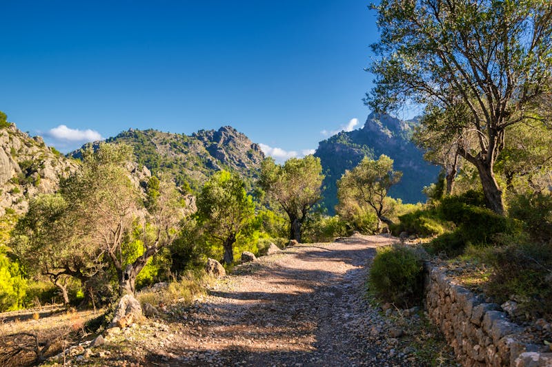 Im Tramuntana-Gebirge - ©Berlin85 - Fotolia