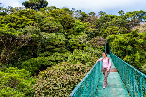 Im Regenwald Monteverde - Costa Rica &ndash; &copy; Simon Dannhauer - Adobe Stock