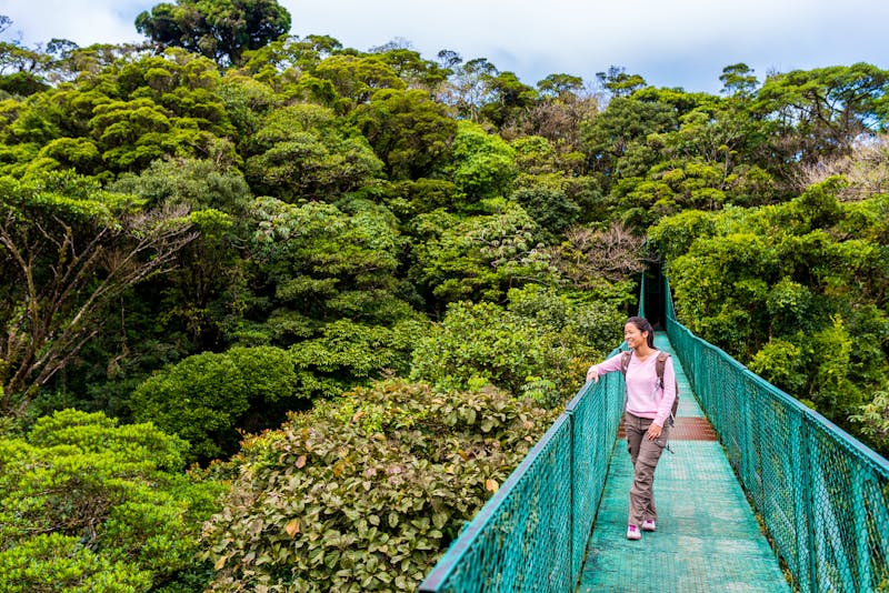 Im Regenwald Monteverde - Costa Rica - ©Simon Dannhauer - Adobe Stock