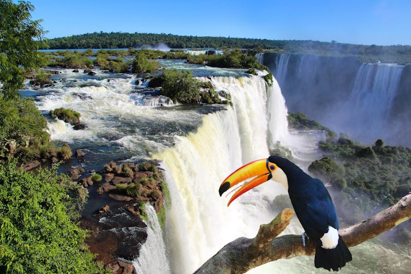 Iguazu Wasserfälle - ©Y Lan - Fotolia