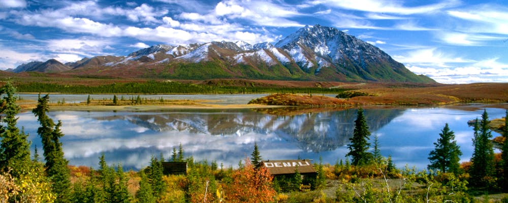 Alaska Denali Nationalpark – © Dirk Paessler - Fotolia