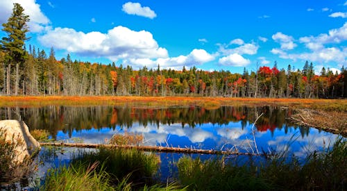 Algonquin Nationalpark Kanada zum Indian Summer &ndash; &copy; Andreas Edelmann - Fotolia