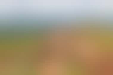 Felsenfestung Sigiriya - ©Eberhardt TRAVEL