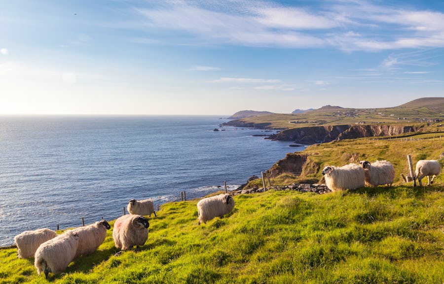 Halbinsel Dingle - Irland – © senicer - Fotolia