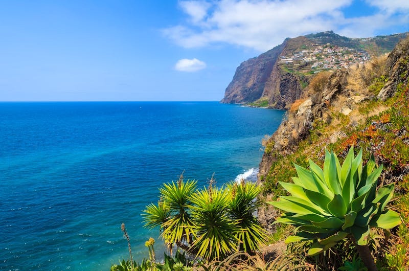 Küste von Madeira - ©pkazmierczak - Fotolia