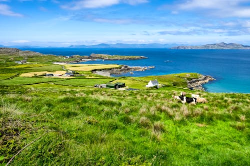 Ring of Beara - Irland &ndash; &copy; Rudi Ernst - Adobe Stock