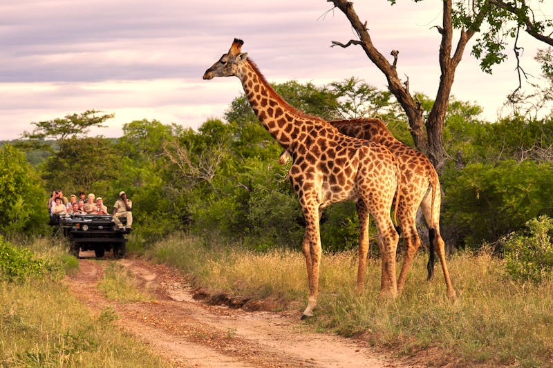 Jeepsafari - ©Volker Haak - Fotolia