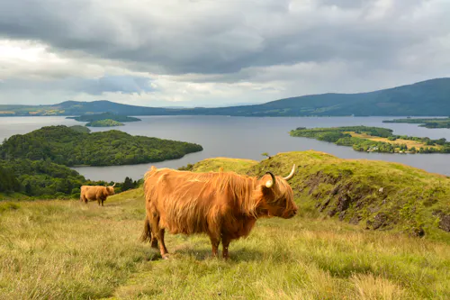 Schottische Highlands &ndash; &copy; Kay Roxby - Adobe Stock