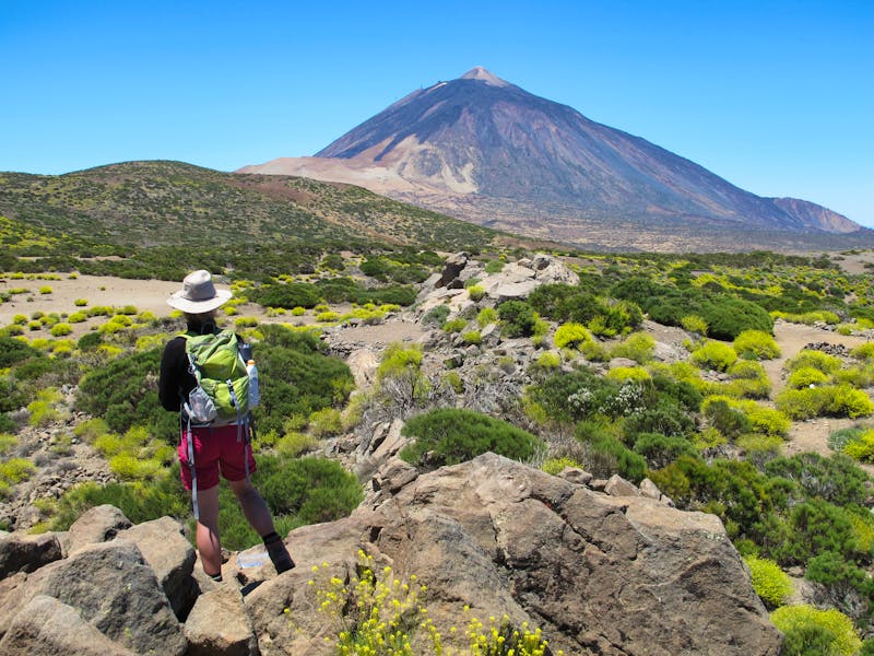 Im Teide-Nationalpark auf Teneriffa - ©Uwe Albert-Thiele - Fotolia