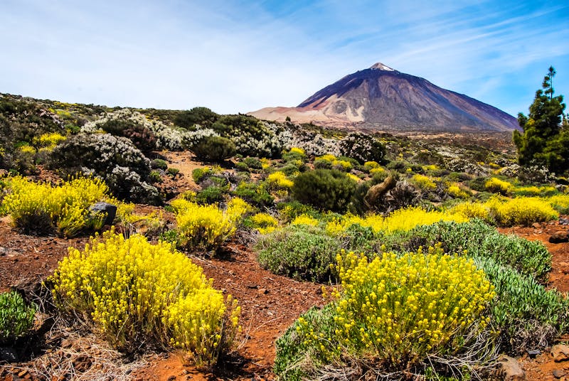 Teide-Nationalpark mit Vulkan Teide auf Teneriffa - ©dietwalther - Fotolia